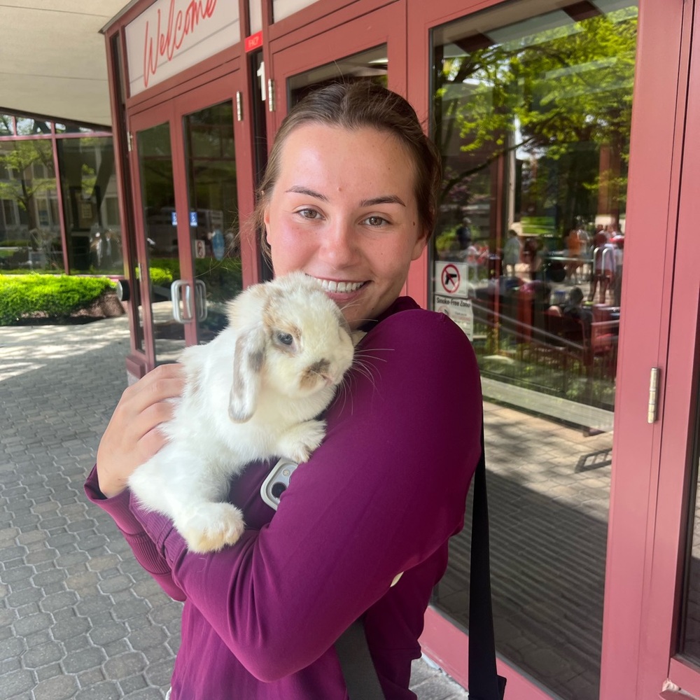 Meet your Posher, Chloe
